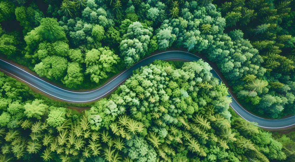 Achieving ESG Roadmap