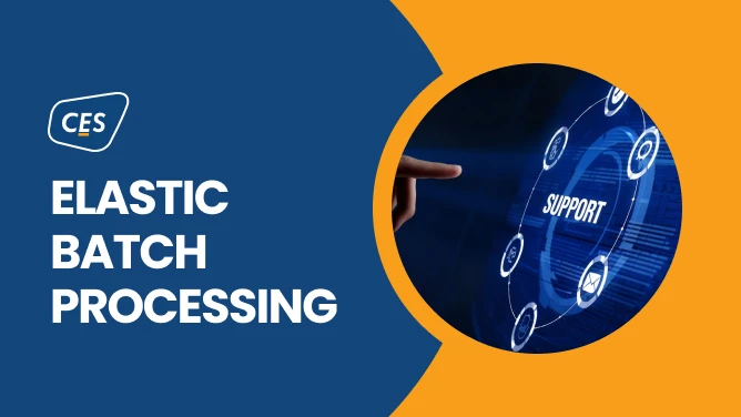 Limited visibility into the end-to-end consumer lifecycle 